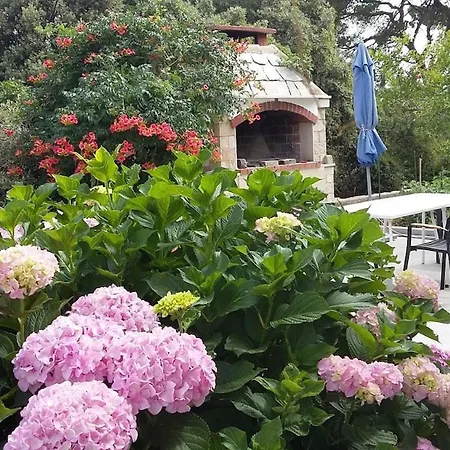 With Sea View Terrace